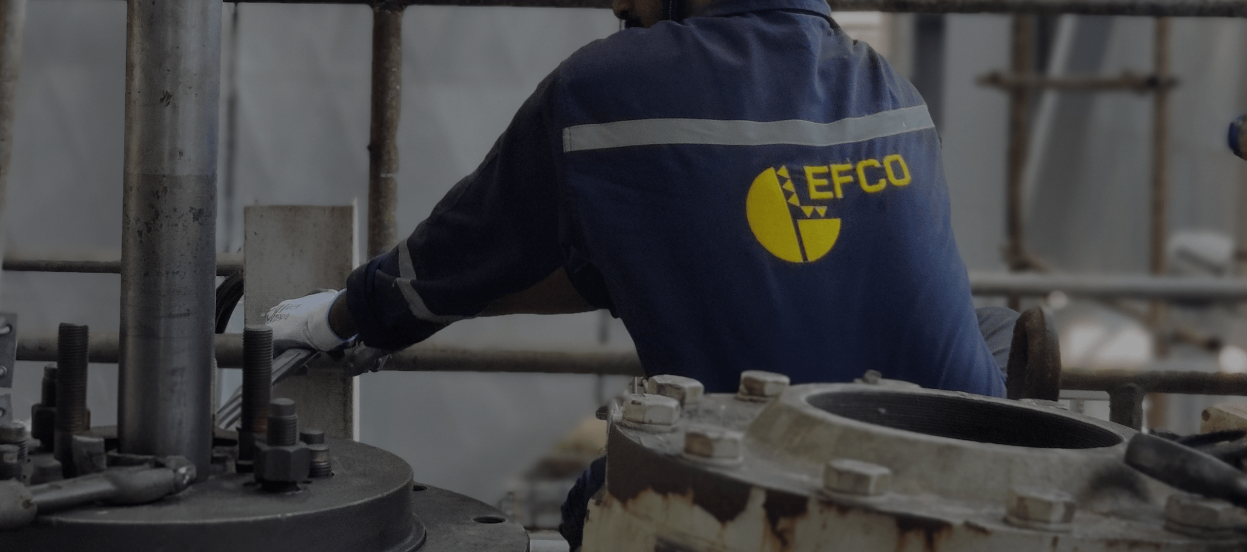 In-Situ Valve Repair Services